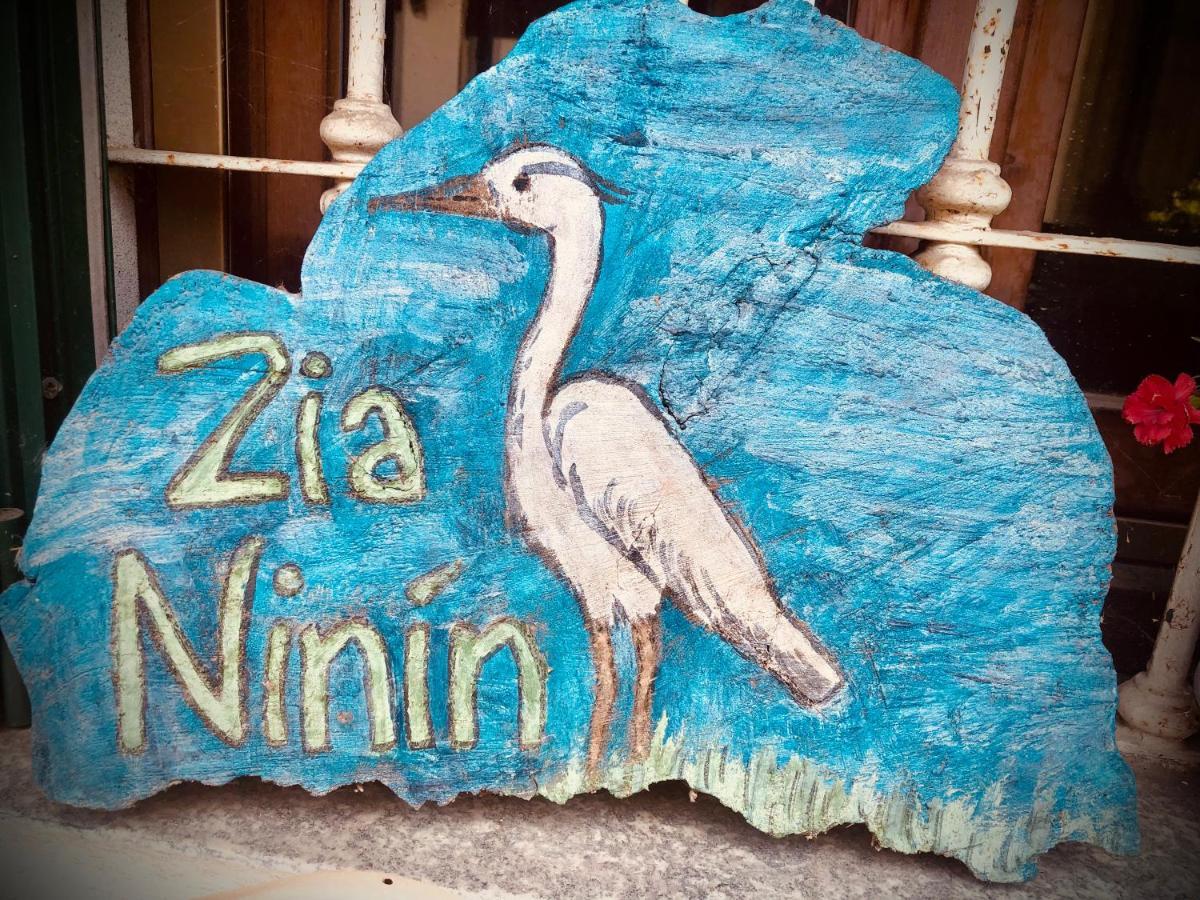 Appartamento Zia Ninin - La Gioia Di Un Tempo! Pavia Esterno foto